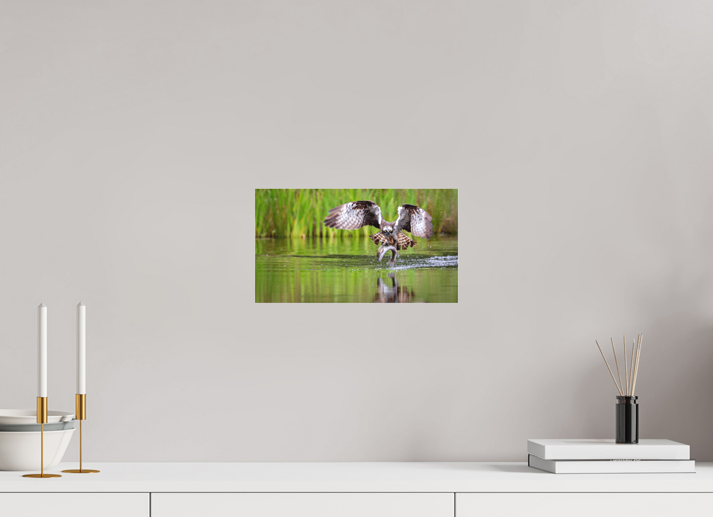 The Master Fisherman - Osprey 0761