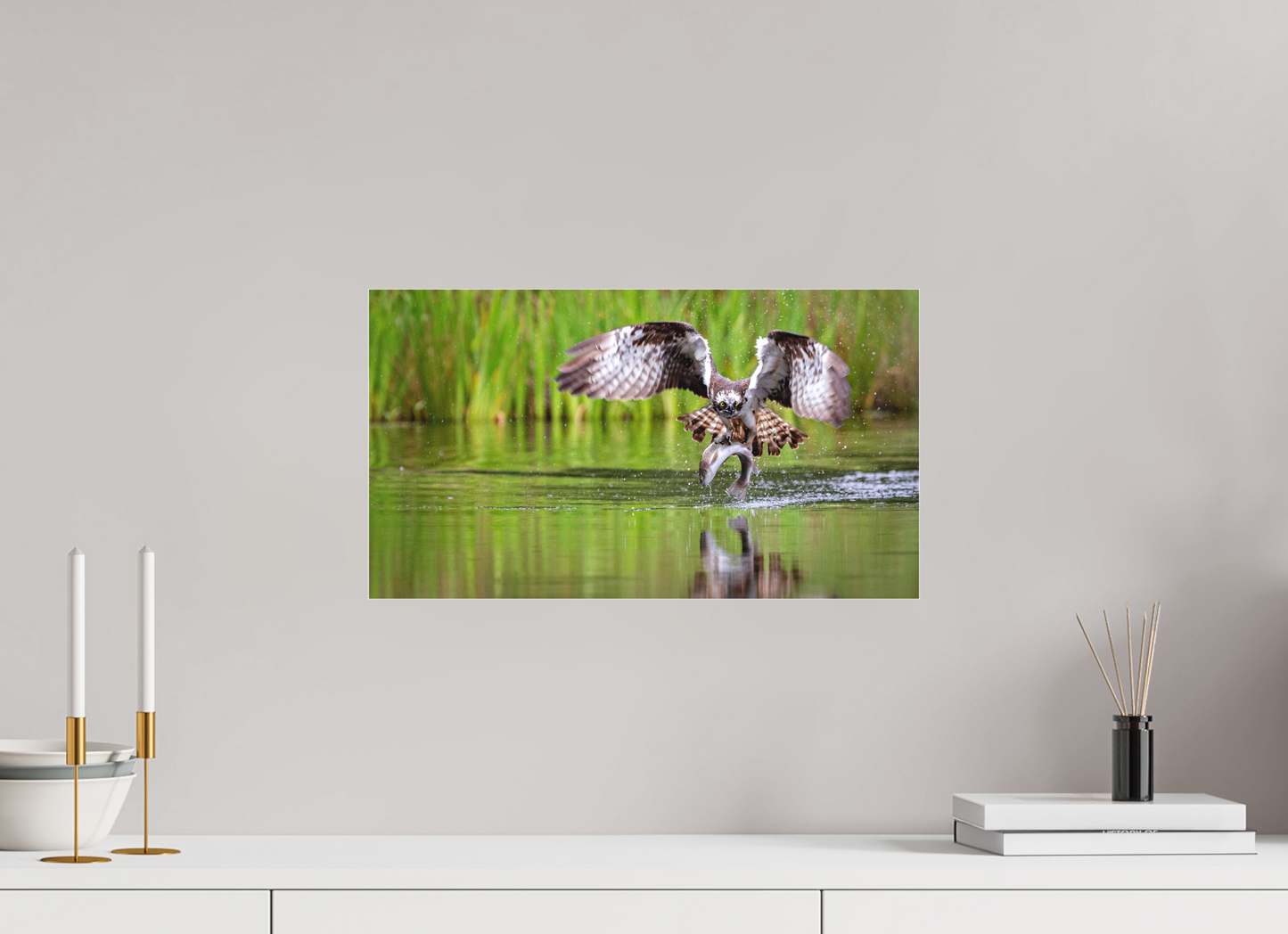 The Master Fisherman - Osprey 0761